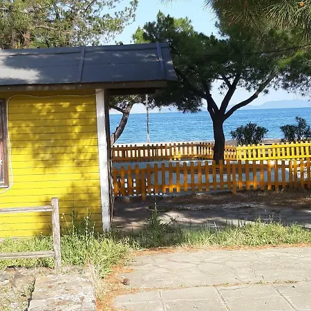 Captain's House