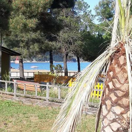 Captain's Beauty & Wellness House Tatil Evi